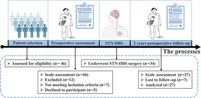 Effects of STN-DBS on cognition and mood in young-onset Parkinson’s disease: a two-year follow-up